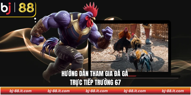 Hướng dẫn tham gia Đá gà trực tiếp trường 67