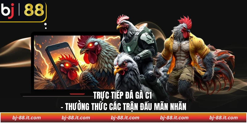 Trực tiếp đá gà C1