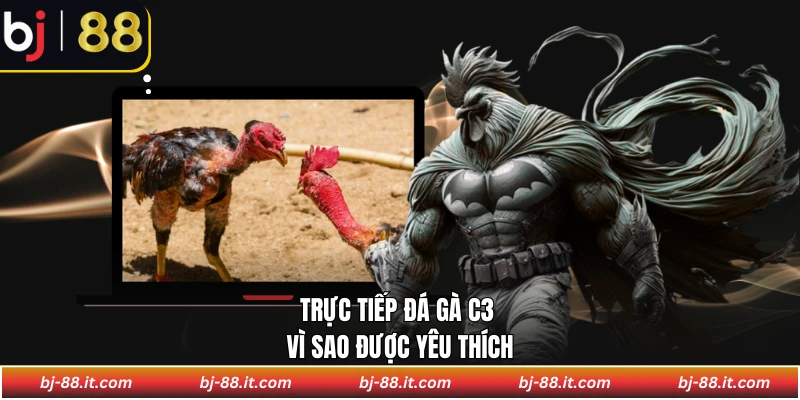 Trực tiếp đá gà C3 vì sao được yêu thích