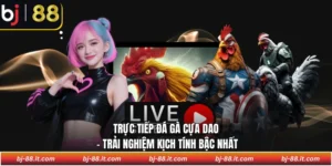 Trực tiếp đá gà cựa dao