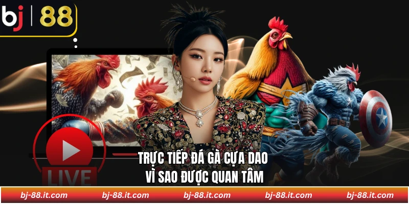 Trực tiếp đá gà cựa dao vì sao được quan tâm