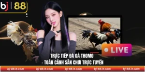 Trực tiếp đá gà Thomo