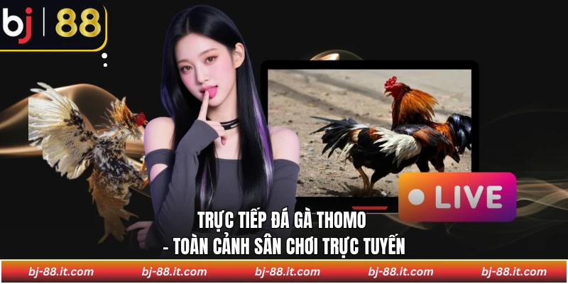 Trực tiếp đá gà Thomo