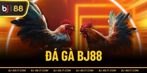 Đá gà BJ88