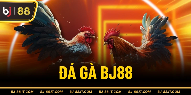 Đá gà BJ88