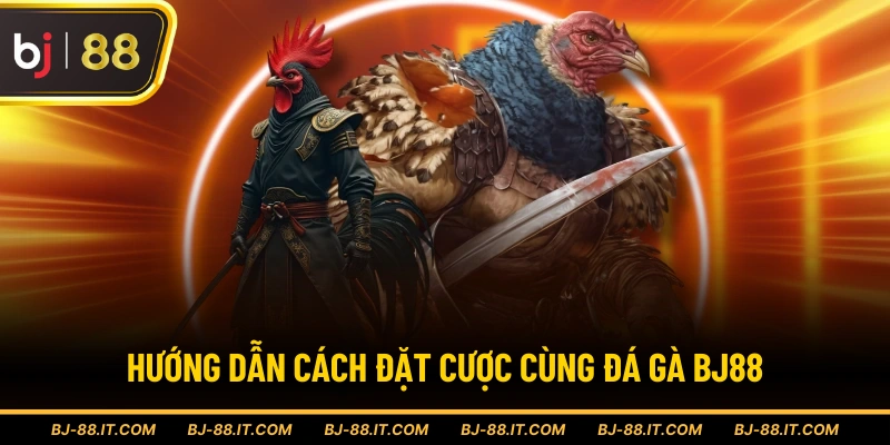 Hướng dẫn cách đặt cược cùng đá gà BJ88